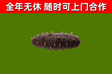 贵南烟酒回收干海参.jpg